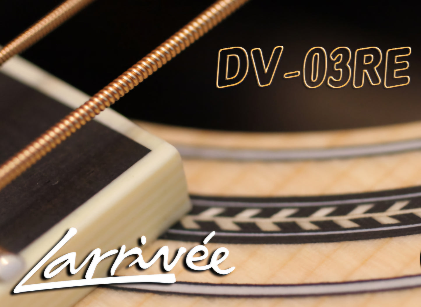 Larrivee DV03R