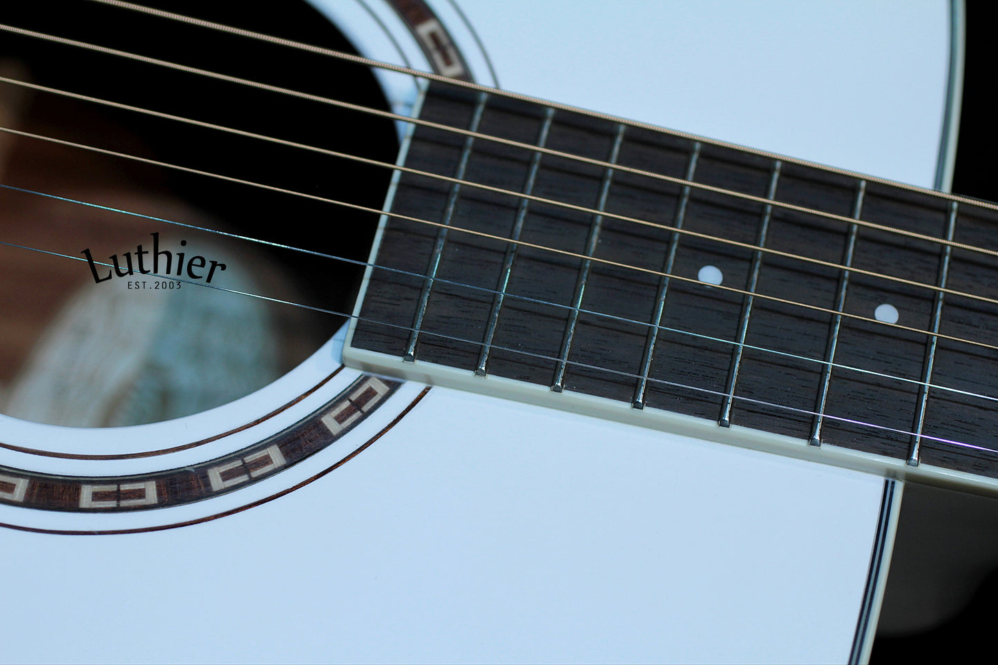 Washburn WD10SWH white gloss