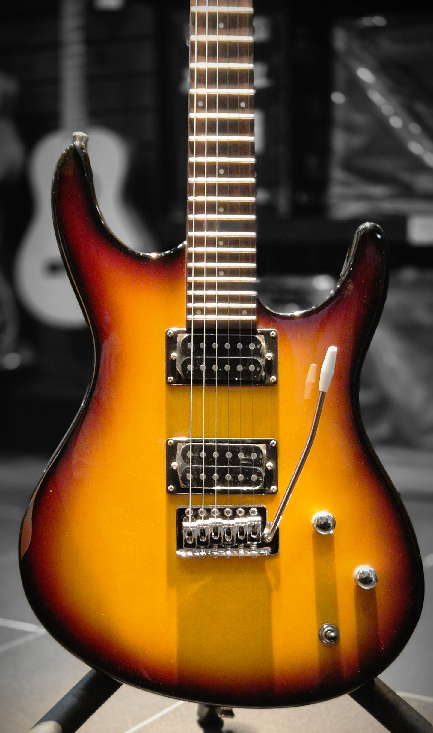 Washburn RX-12 TSB