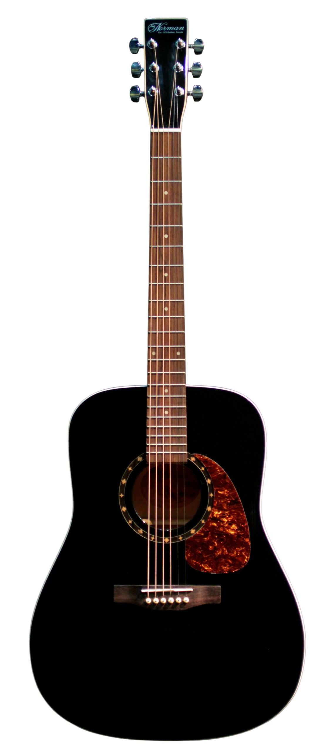 Norman B20 HG Black Presys