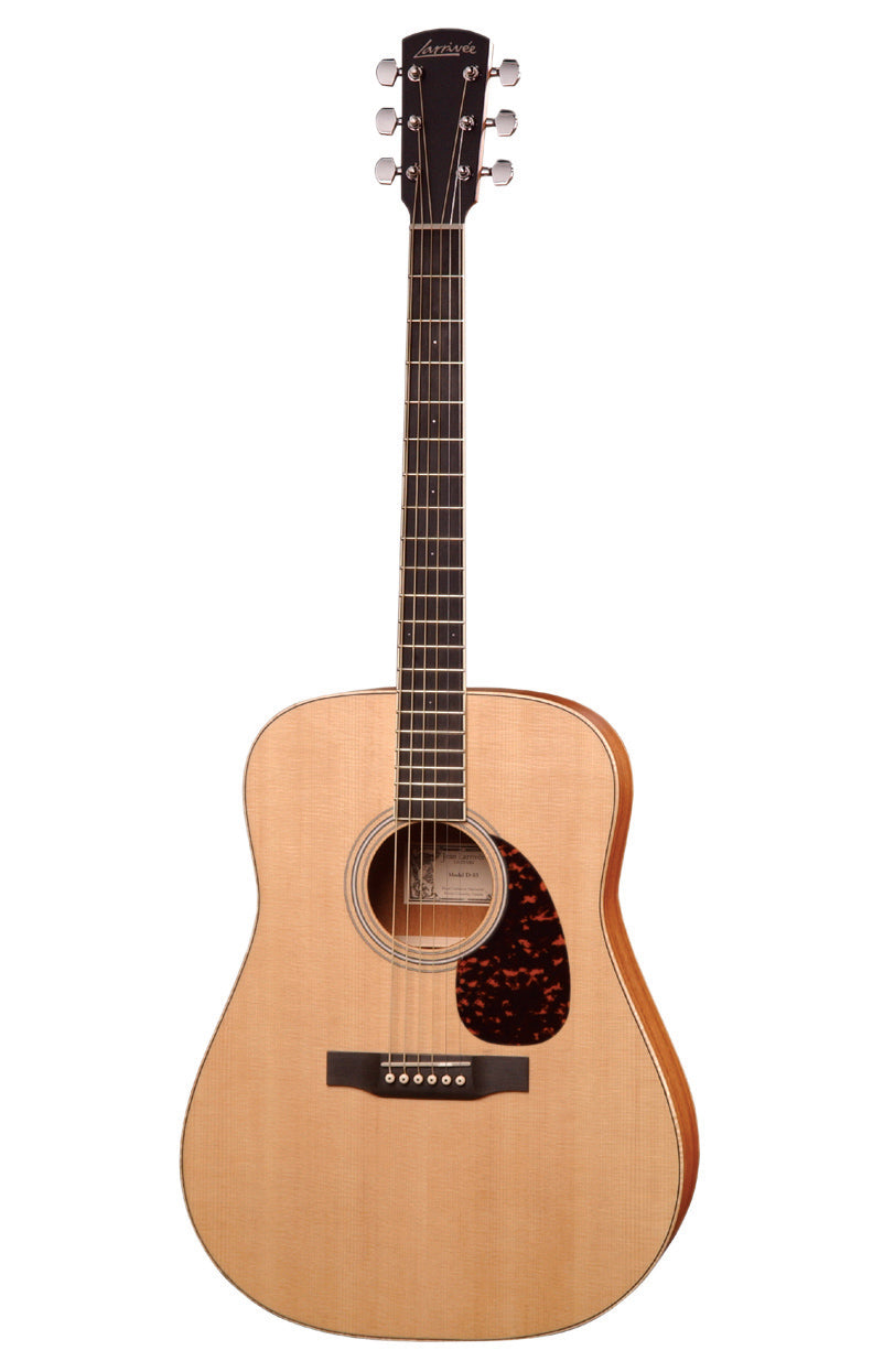 Larrivee D03 E