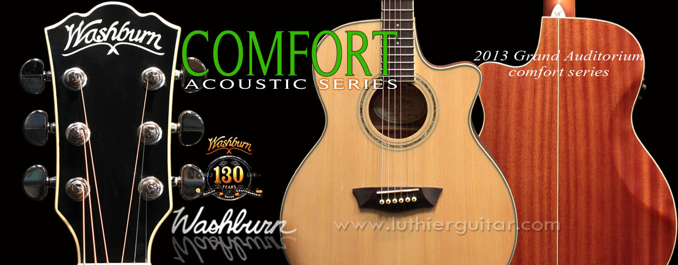 Washburn WCG18CE