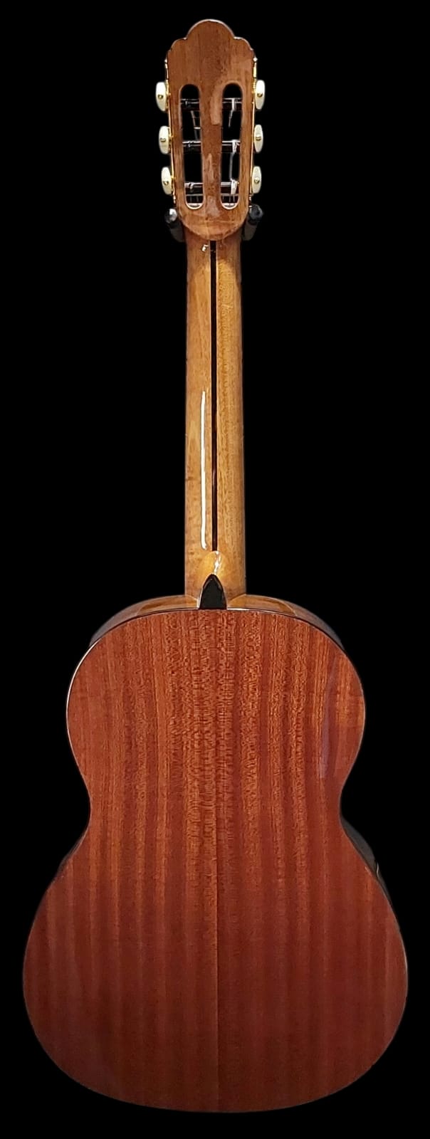 Luthier Andalucia
