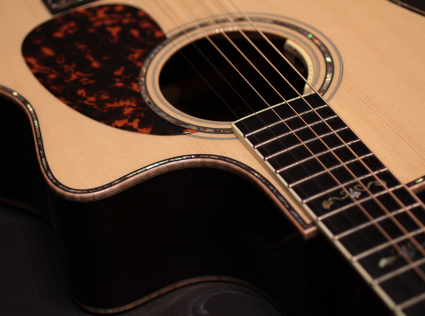 Larrivee LV-10E BR Custom