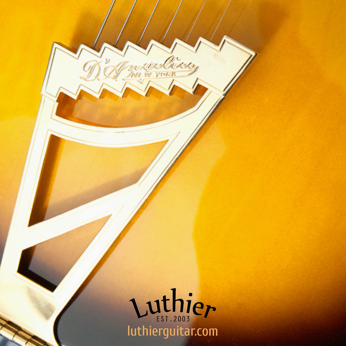 D'Angelico EXDC-VS thin body