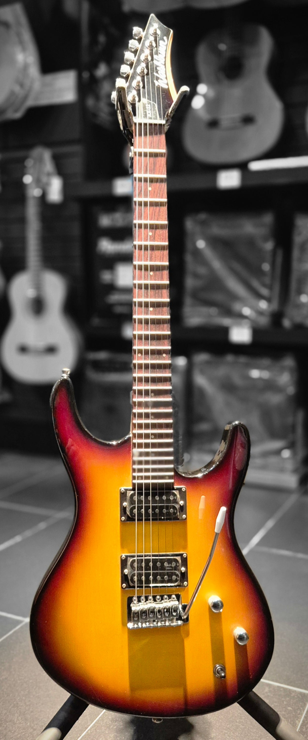 Washburn RX-12 TSB