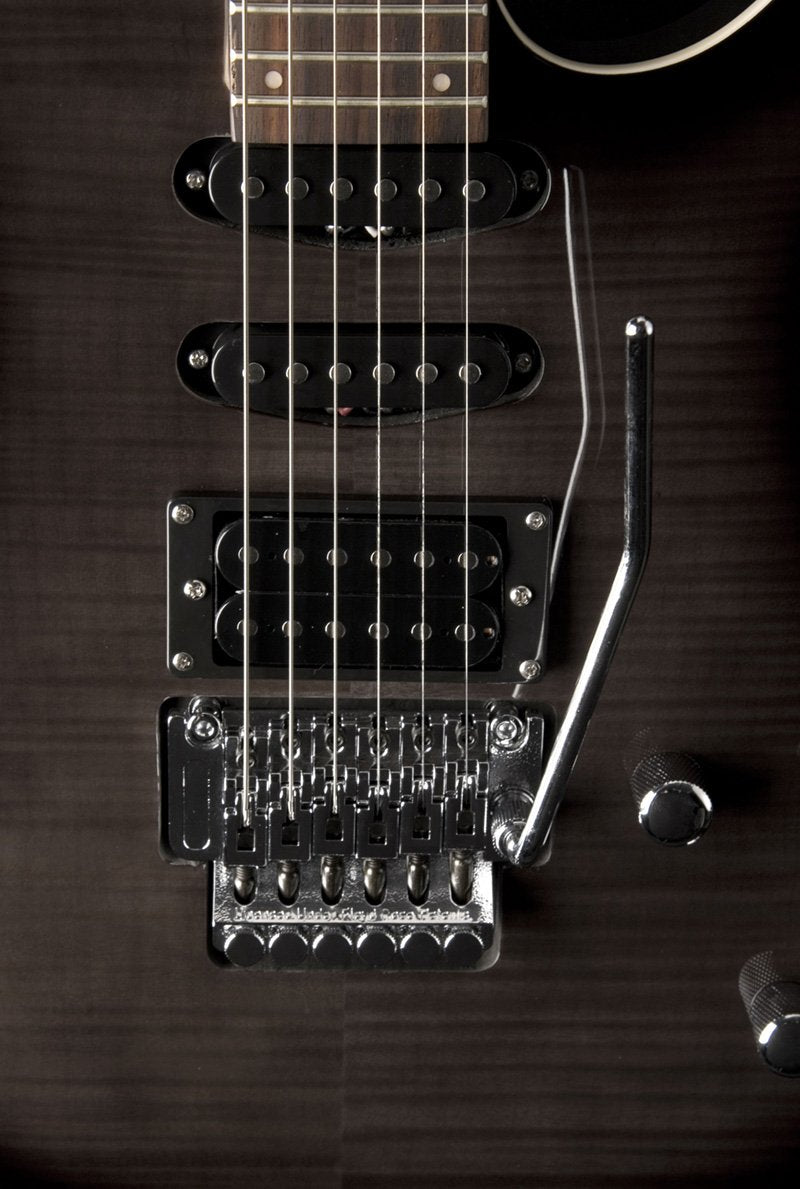 Washburn Rx 25