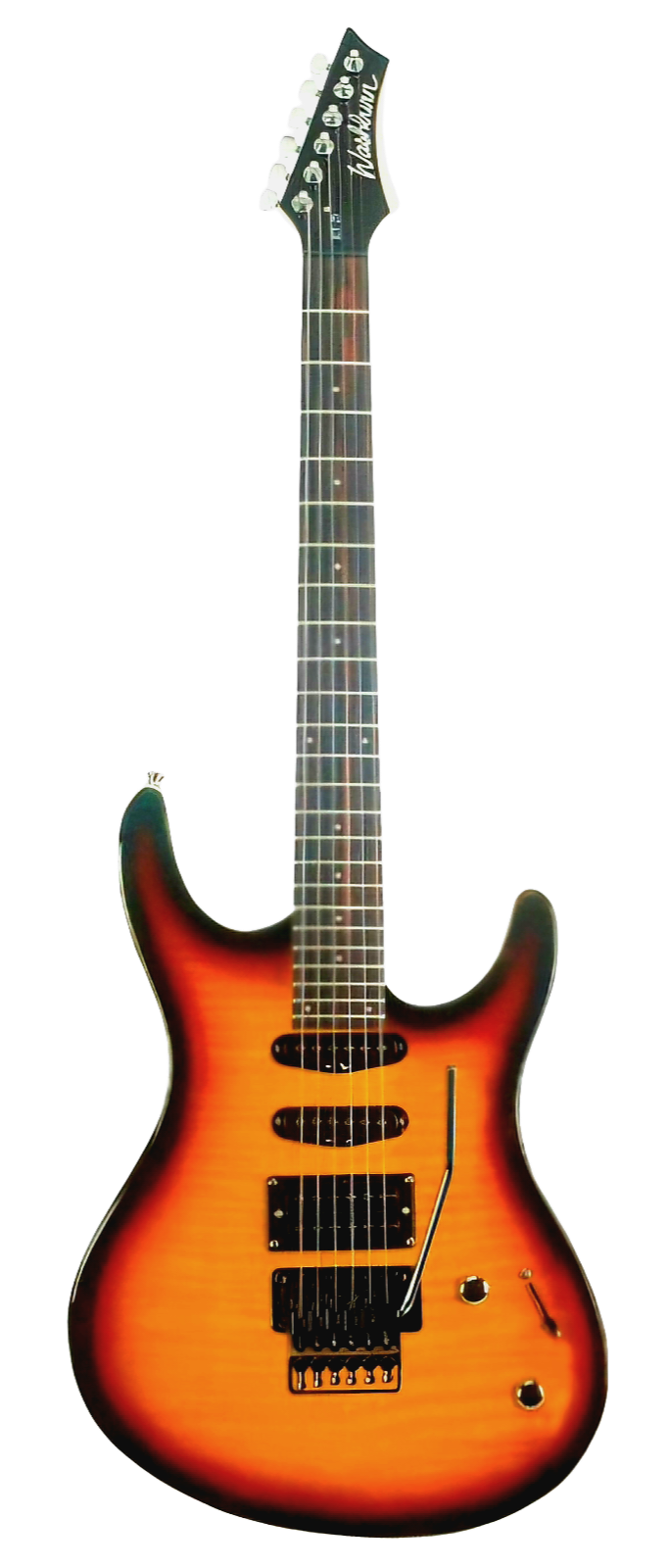 Washburn Rx 25