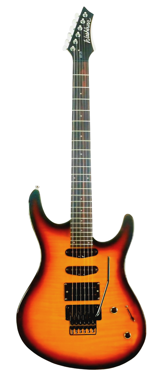 Washburn Rx 25