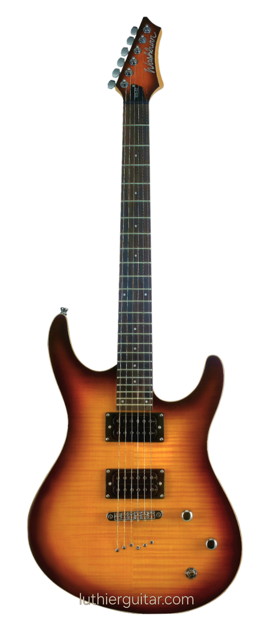 Washburn RX 40