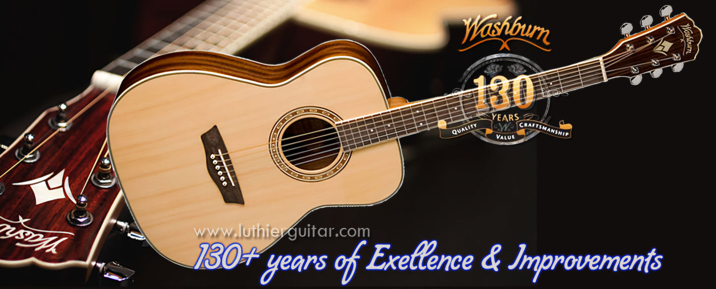 Washburn WF10S
