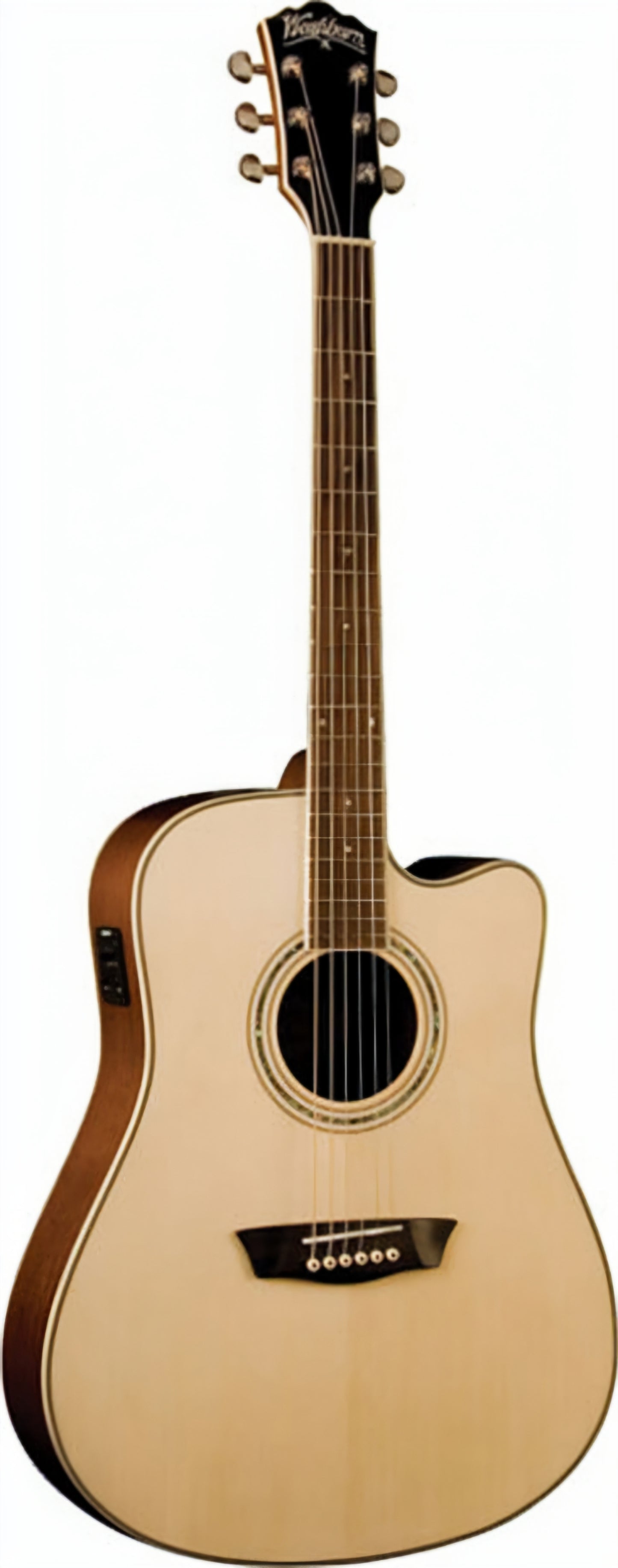 Washburn WCD18CE