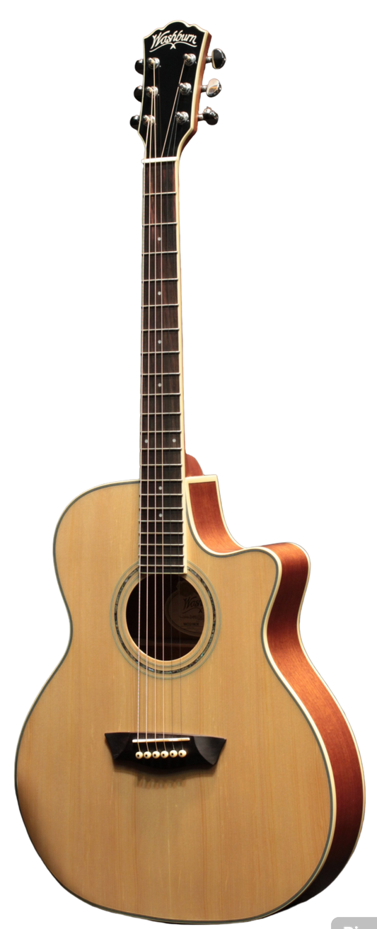 Washburn WCG18CE