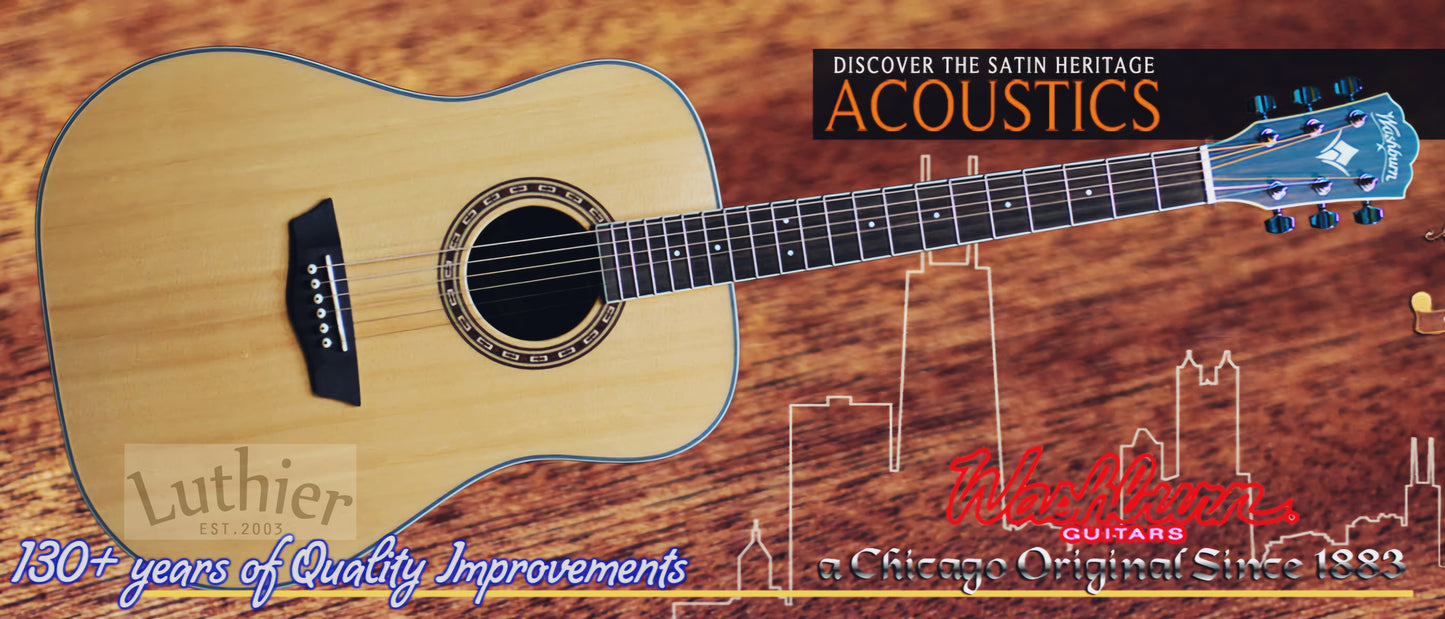 Washburn WD10SNS