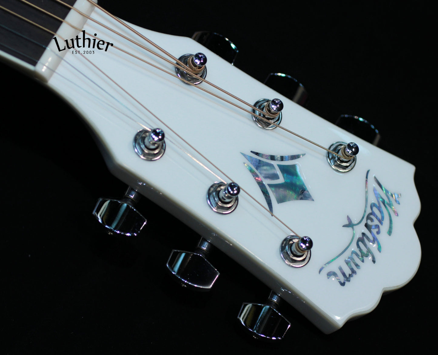 Washburn WD10SWH white gloss