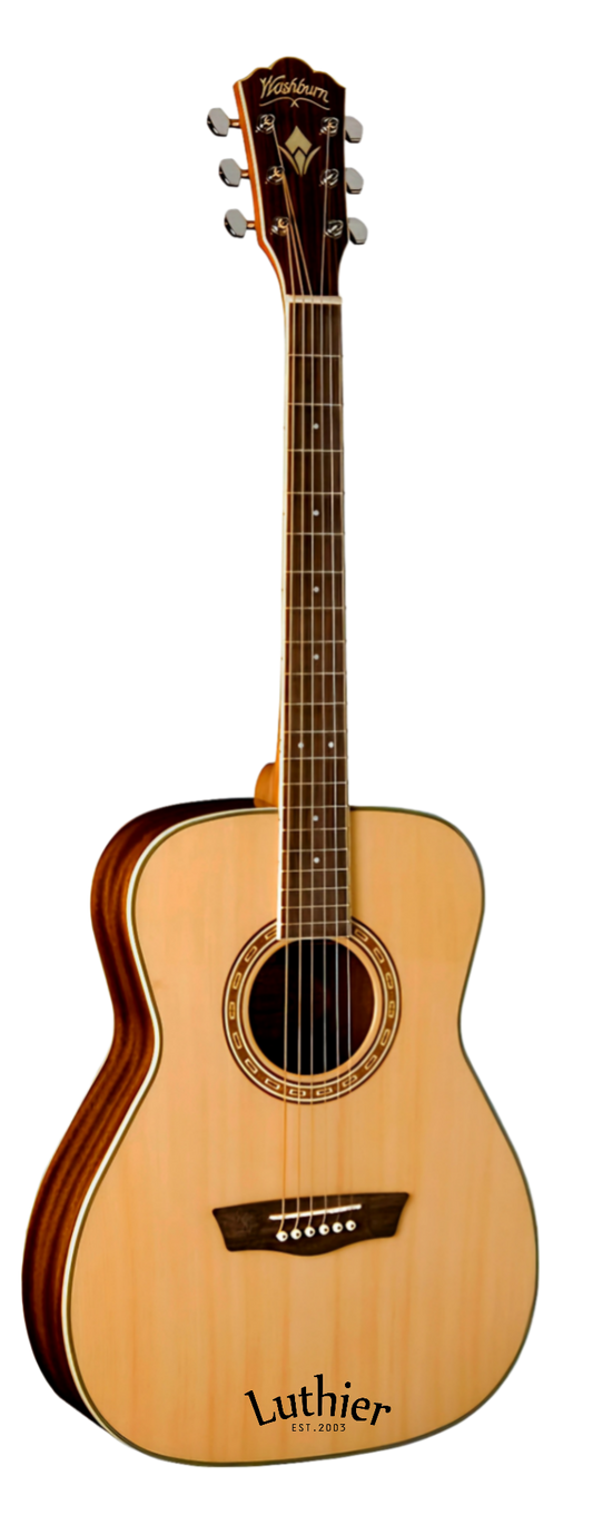 Washburn WF10S