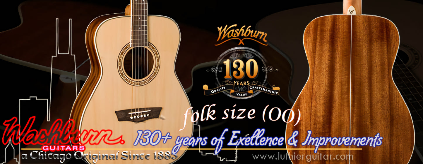 Washburn WF10S