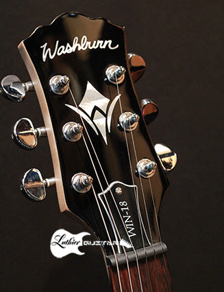Washburn WIN-18