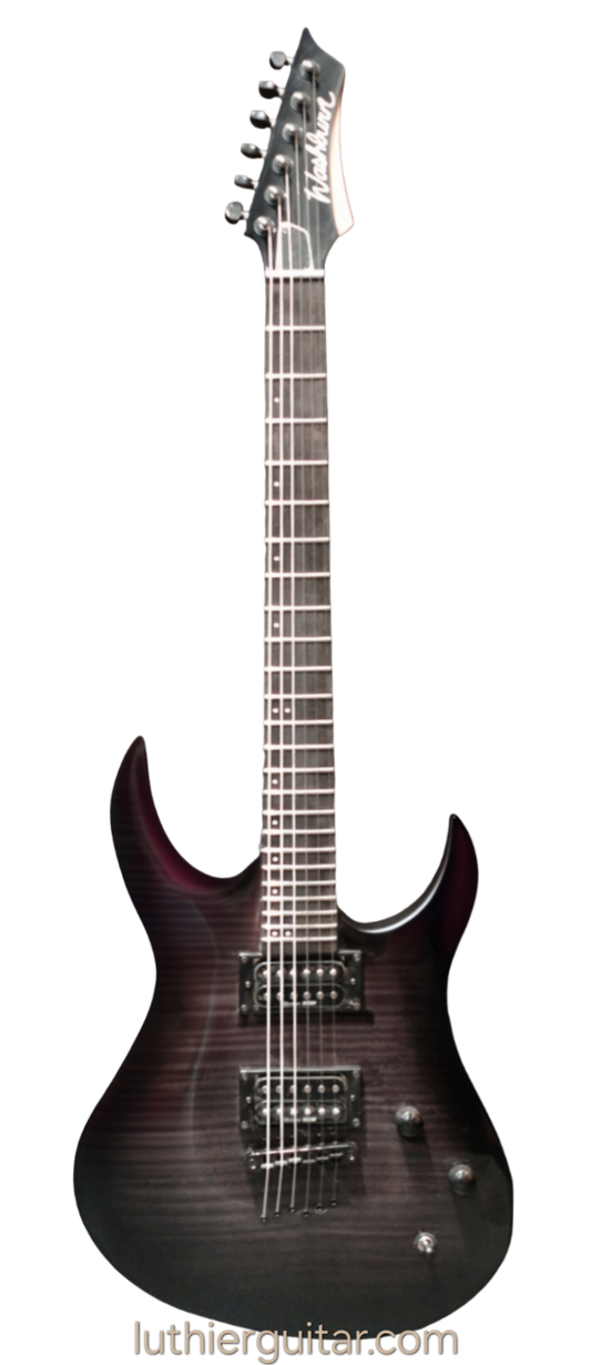 Washburn XM-DLX2
