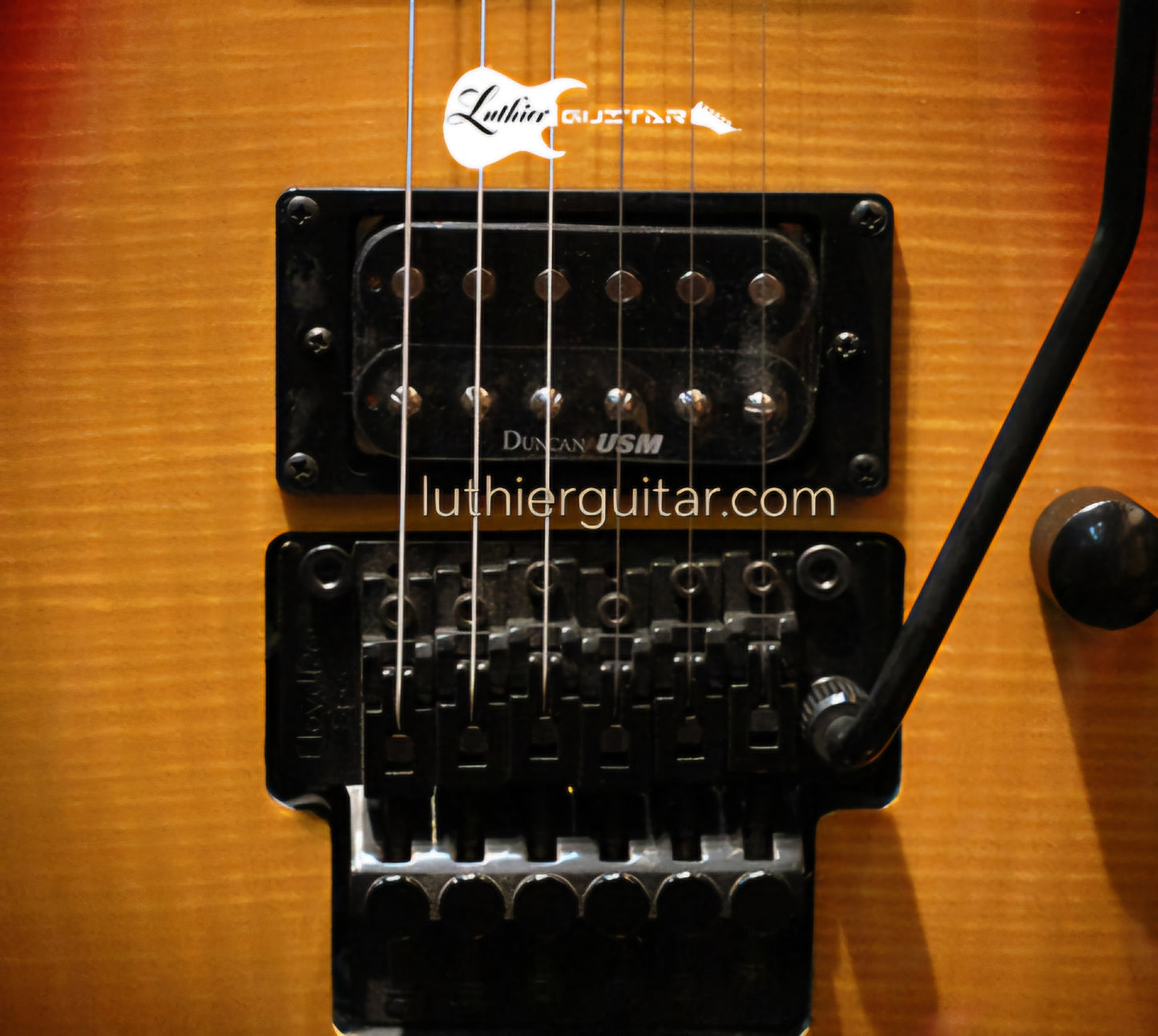 Washburn XM-DLX2-FR FTB