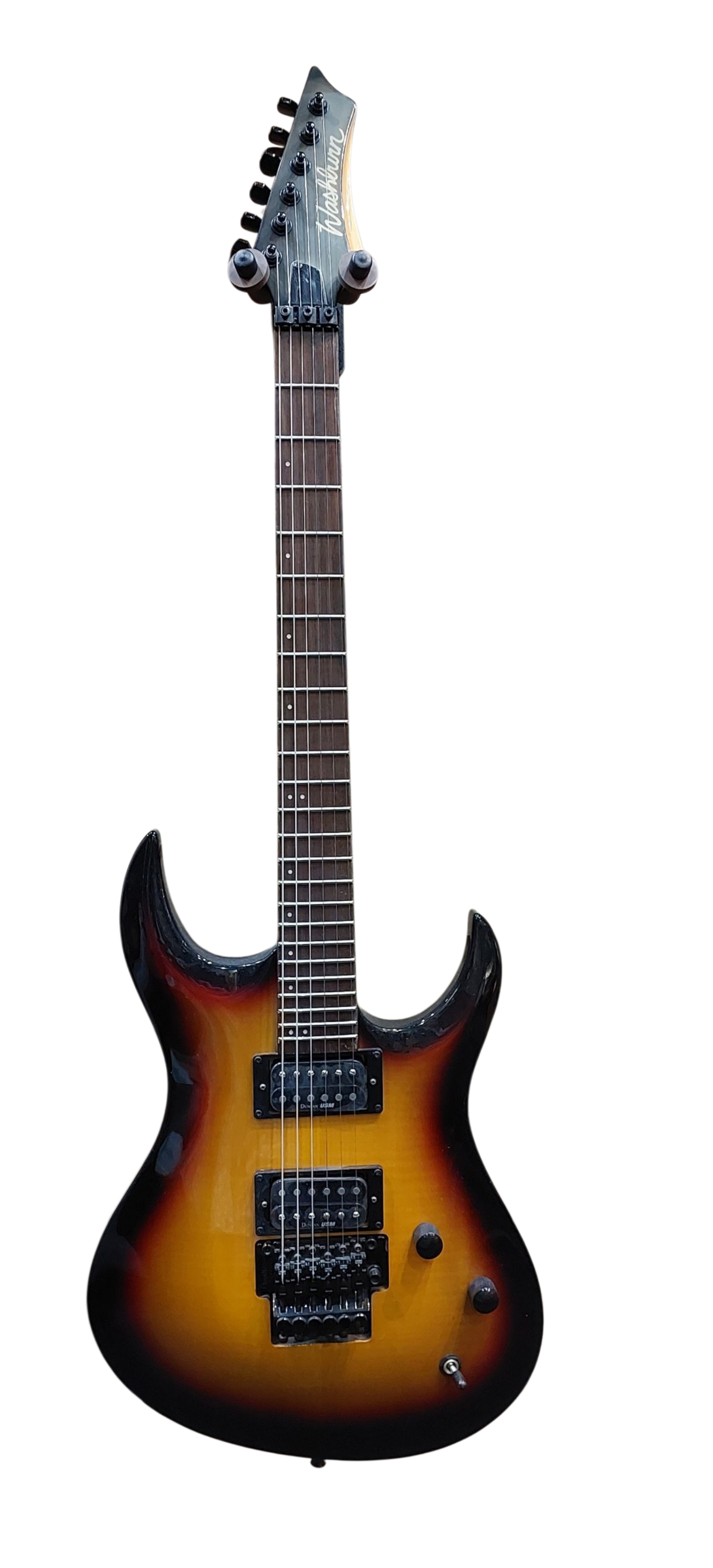 Washburn XM-DLX2