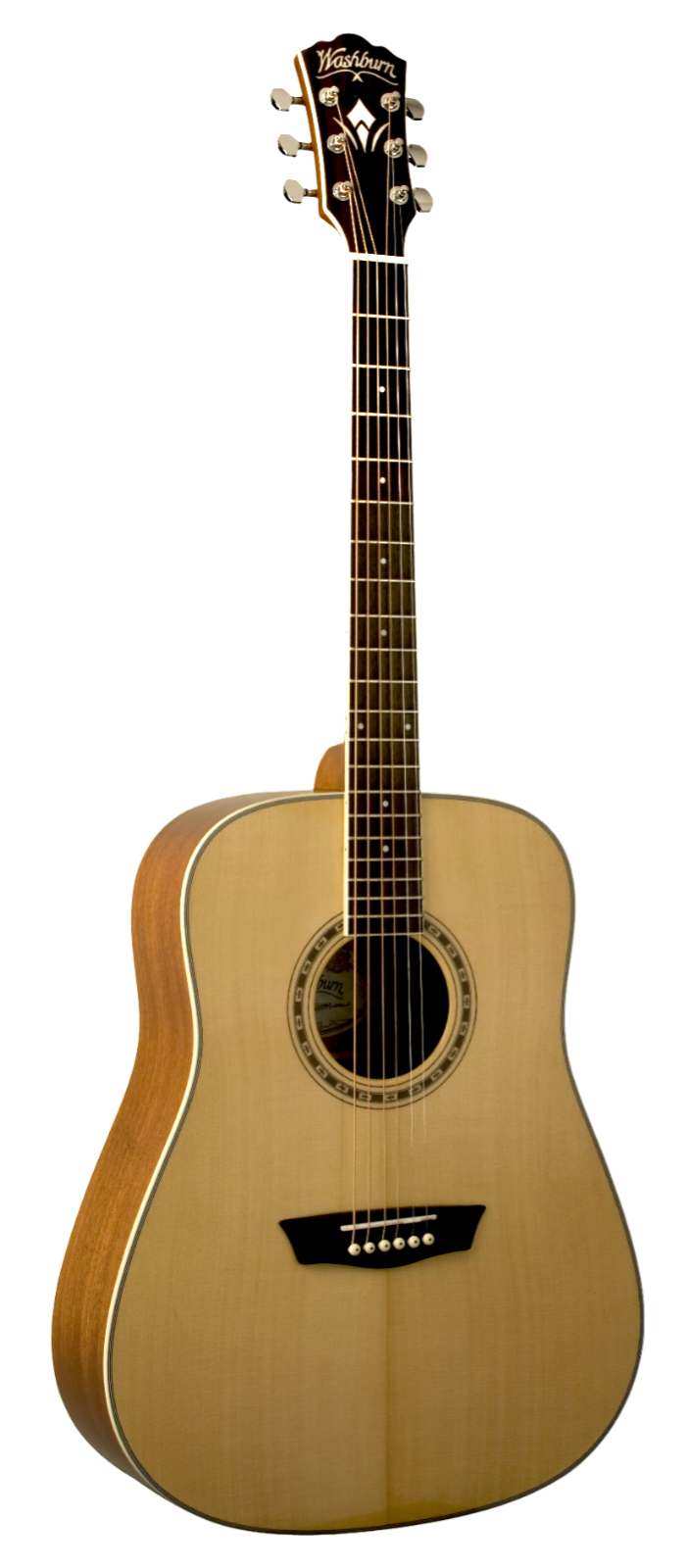 Washburn WD10SNS