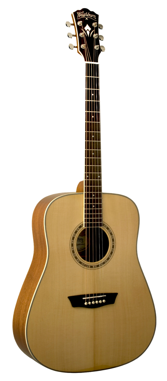 Washburn WD10SNS